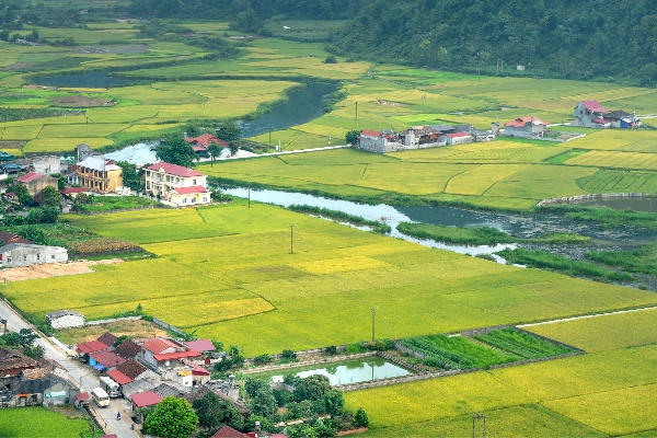 Bac Son Valley and Nalay Mountain 1 Day Tour - photo 50